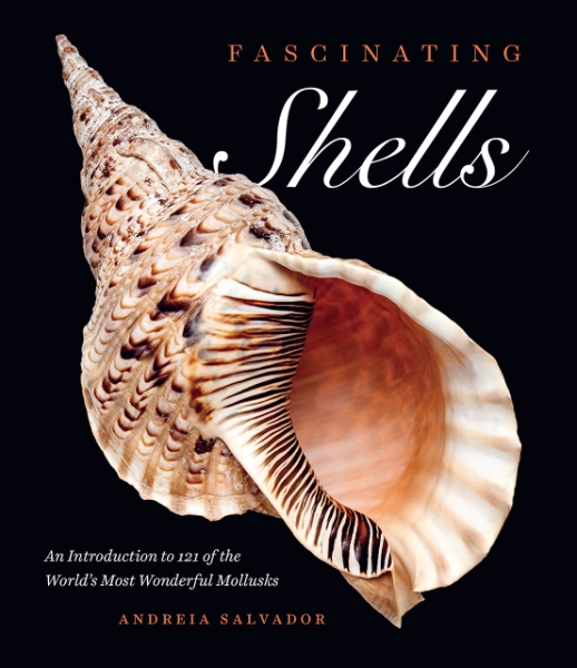Fascinating Shells: An Introduction to 121 of the World’s Most Wonderful Mollusks